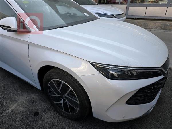 بي واي دي كوين L DM-i 2025 للبيع في العراق -  بغداد